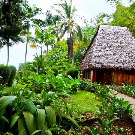 Bosque Del Cabo Rain Forest Lodge Puerto Jiménez 외부 사진