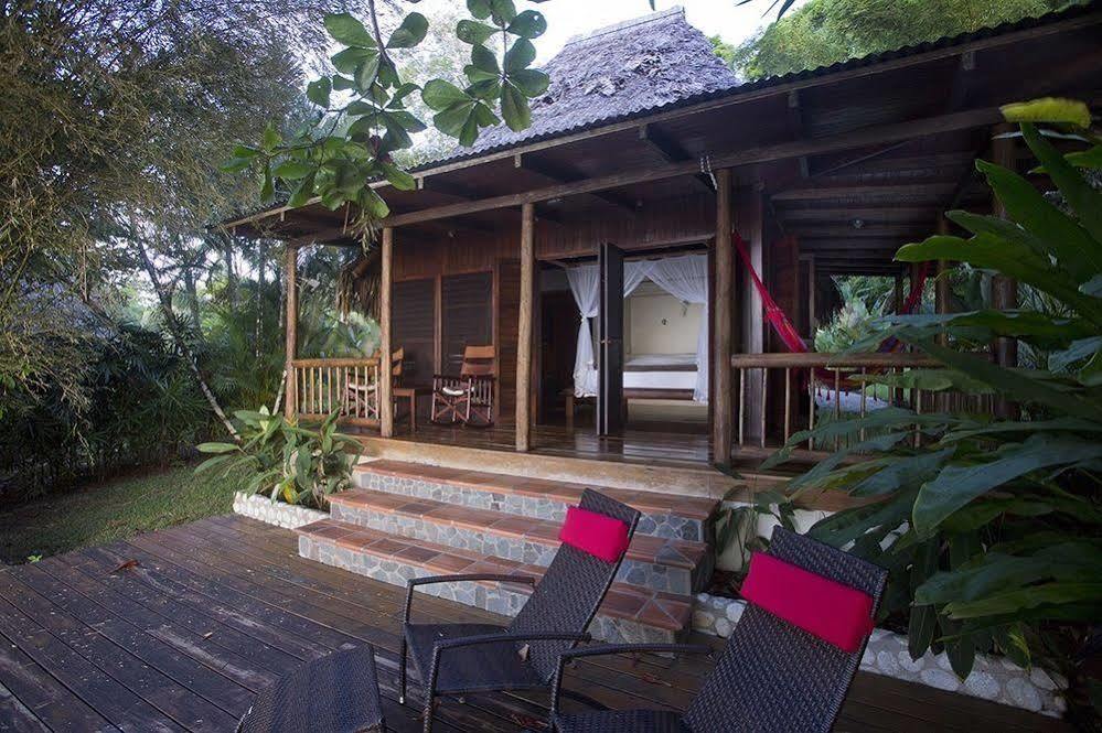 Bosque Del Cabo Rain Forest Lodge Puerto Jiménez 외부 사진