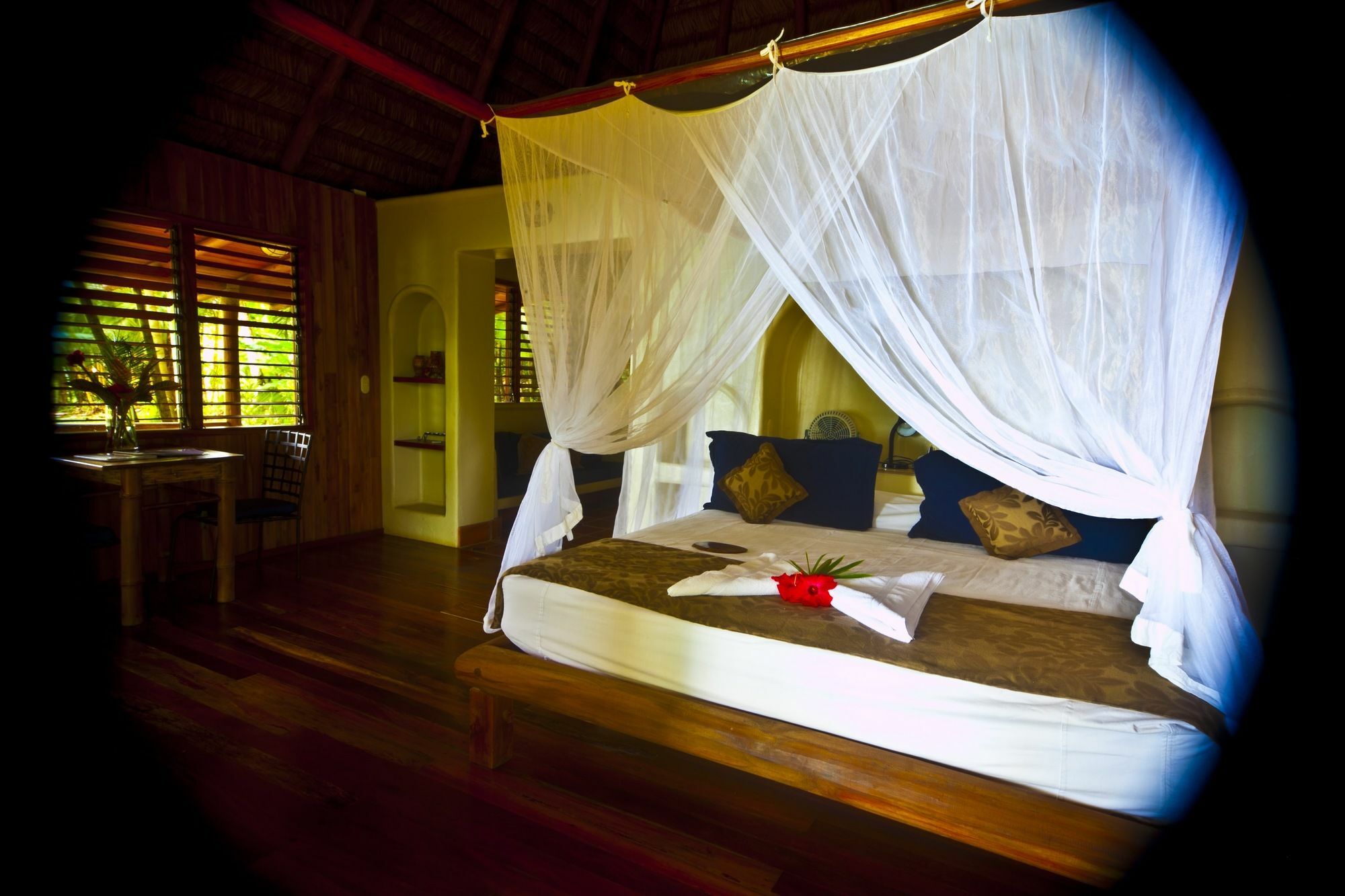 Bosque Del Cabo Rain Forest Lodge Puerto Jiménez 외부 사진