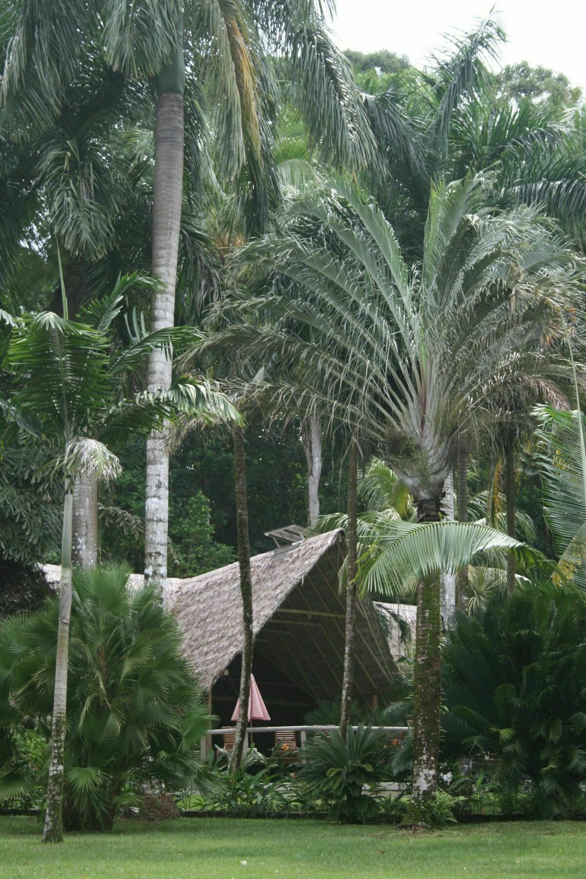 Bosque Del Cabo Rain Forest Lodge Puerto Jiménez 외부 사진