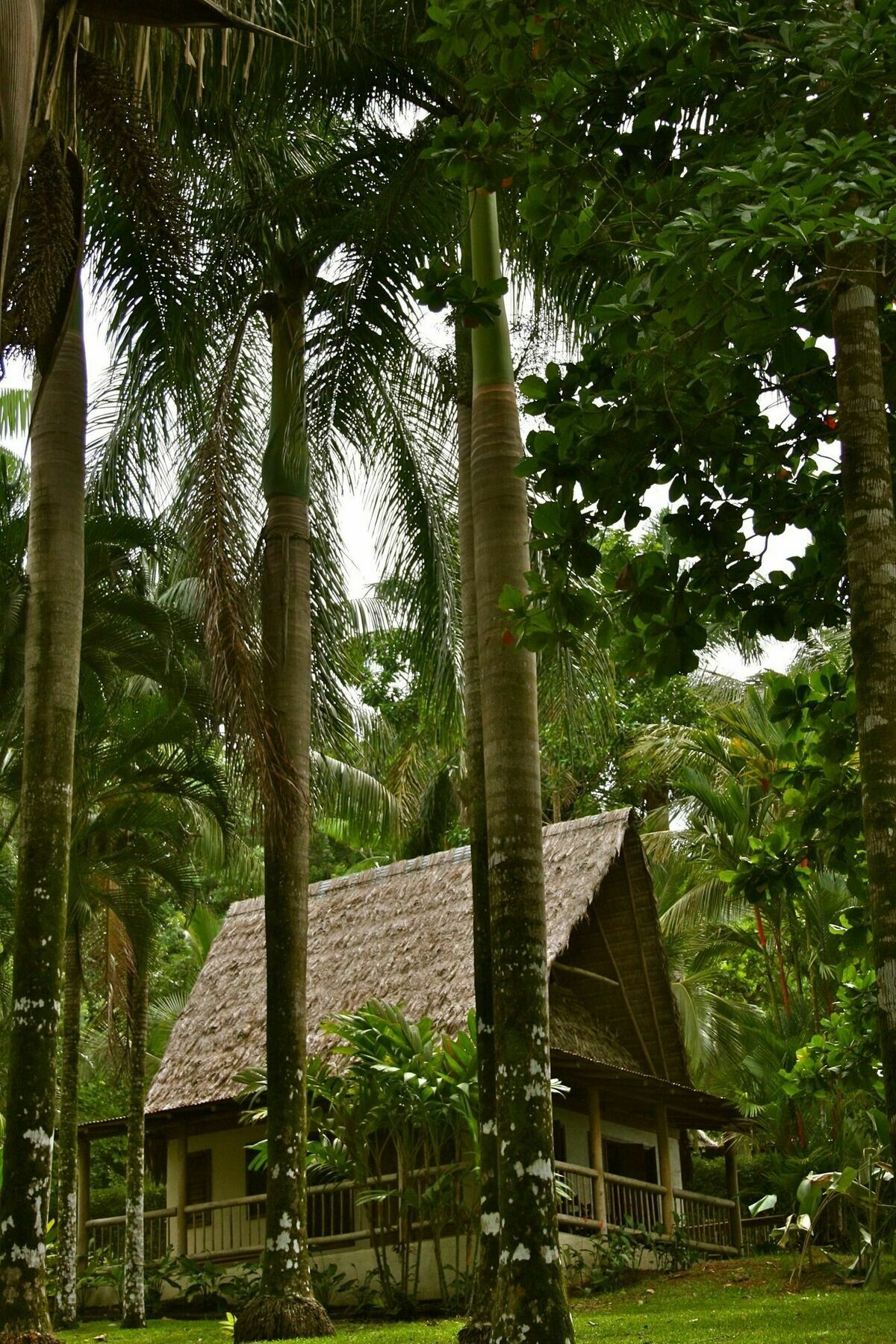 Bosque Del Cabo Rain Forest Lodge Puerto Jiménez 외부 사진