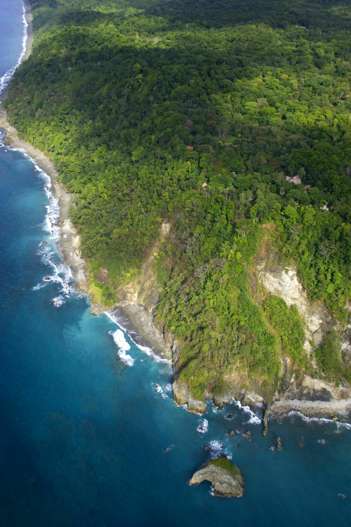 Bosque Del Cabo Rain Forest Lodge Puerto Jiménez 외부 사진